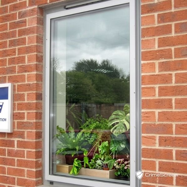 Ground Floor Office Window, Reading